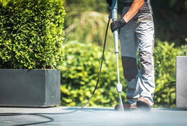 Best Pool Deck Cleaning  in Milan, IN