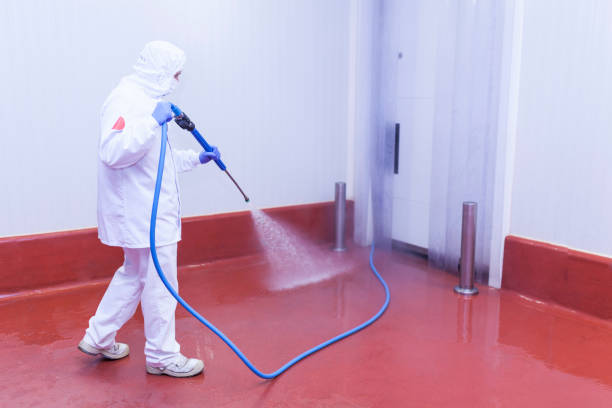 Best Pre-Holiday Cleaning  in Milan, IN