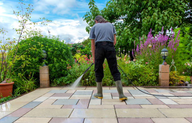 Animal Enclosure Cleaning in Milan, IN